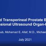 Freehand tranperineal prostate fusion biopsy with KOELIS Trinity® under local anesthesia