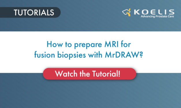 How to prepare MRI for fusion biopsies with MrDRAW?