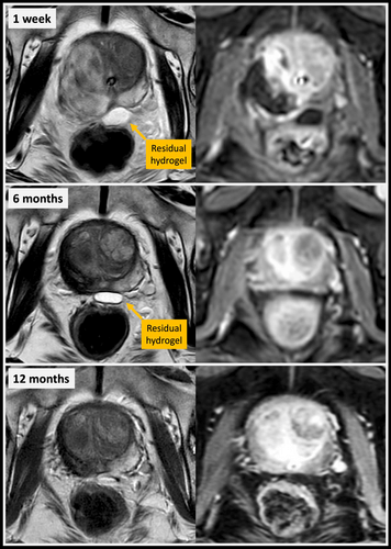 Scientific Library Koelis